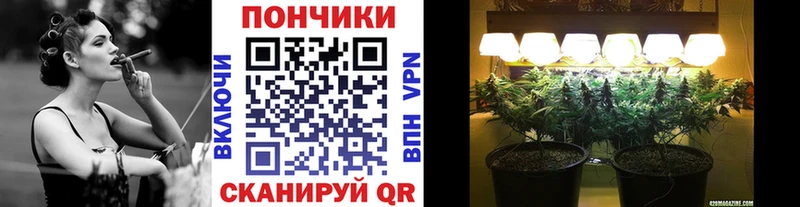 Где купить наркоту Богданович Бошки Шишки  Галлюциногенные грибы  КОКАИН  Гашиш  Меф  Alpha PVP 