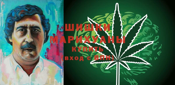 PSILOCYBIN Абаза