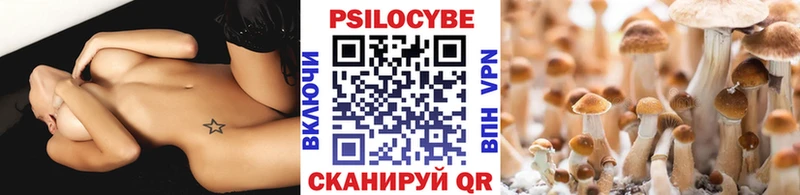 Псилоцибиновые грибы MAGIC MUSHROOMS  даркнет сайт  Богданович 