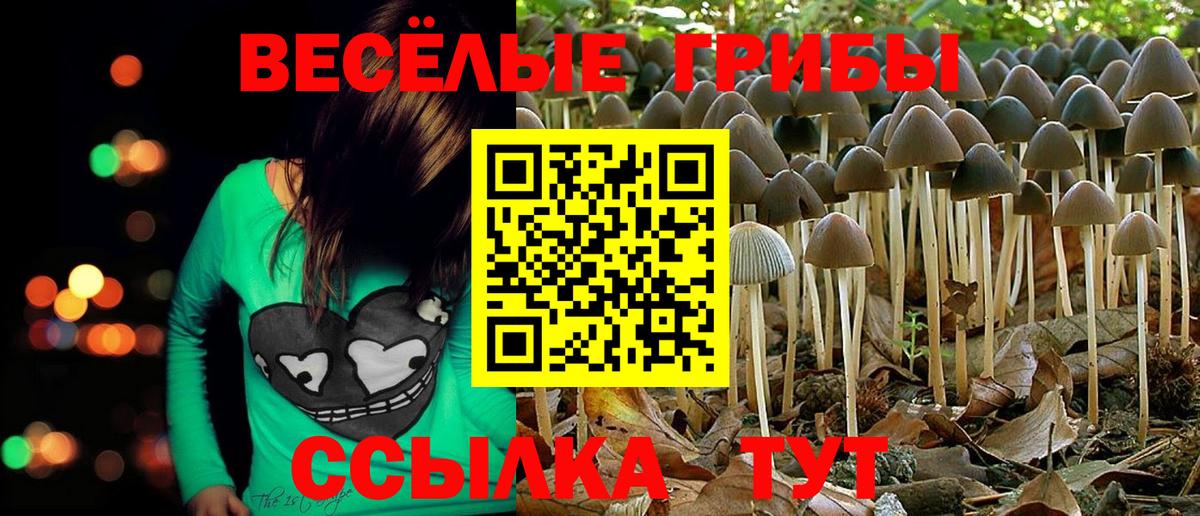Псилоцибиновые грибы мухоморы  Вход с VPN  Богданович 